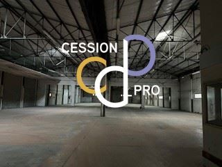Vente Entrepôt Perpignan 66000 MAILLOLES