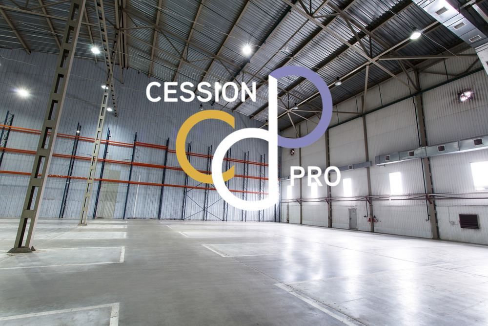 Vente Entrepôt Perpignan 66000 MAILLOLES