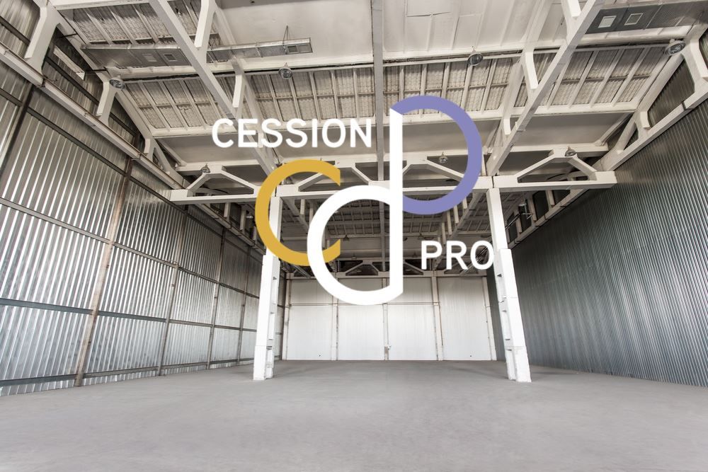 Vente Entrepôt Perpignan 66000 MAILLOLES