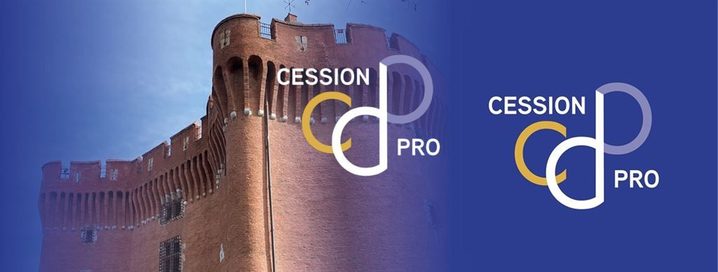 commerce en vente sur PERPIGNAN (66000)