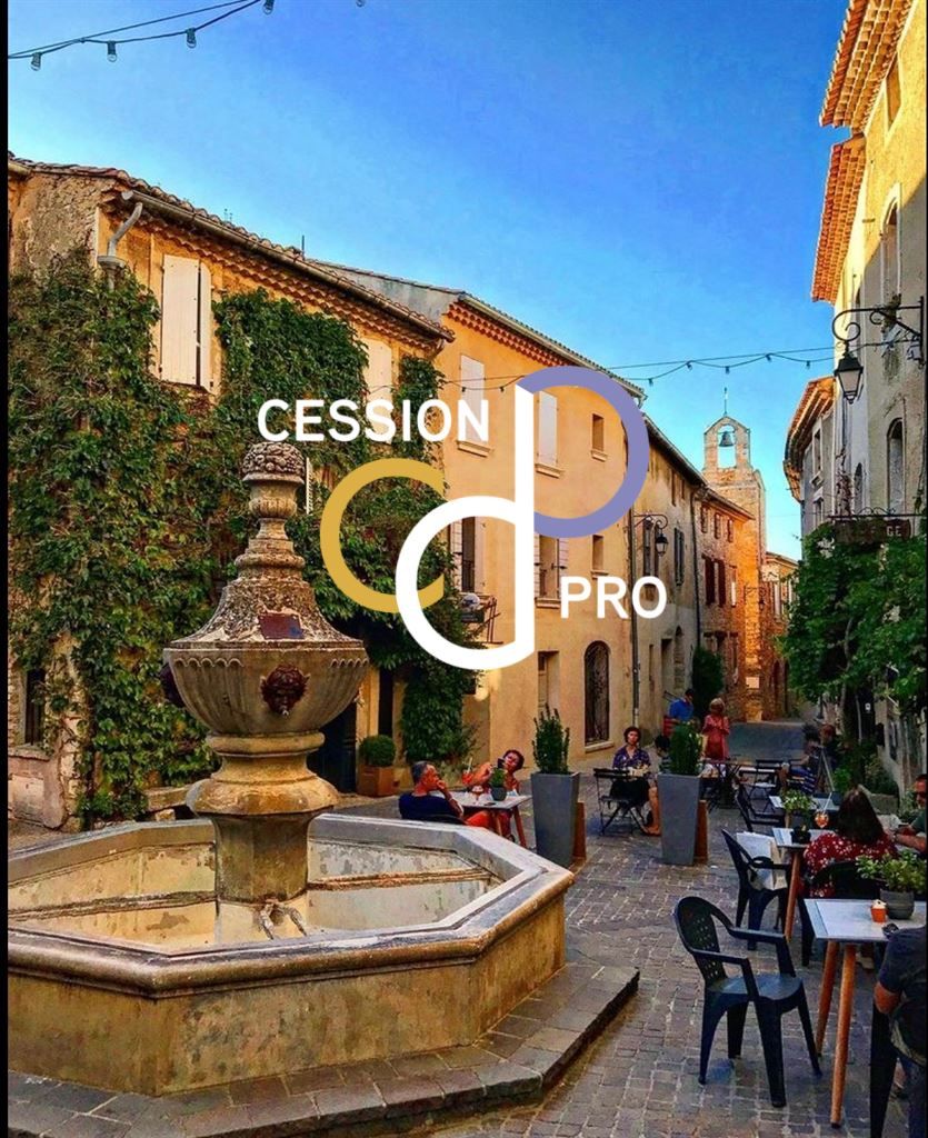 Vente Local d'activité Carpentras 84200 Mont Ventoux