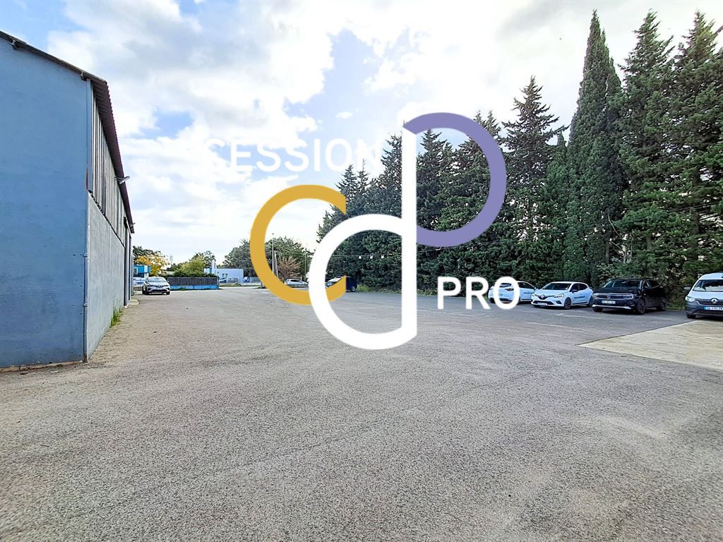 Vente Entrepôt Arles 13200 ZONE D'ACTIVITE