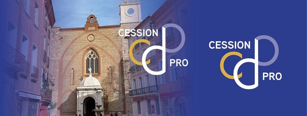 Location Commerce Perpignan 66000 Centre-Ville piéton