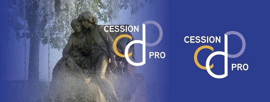 Vente Commerce Alès 30100