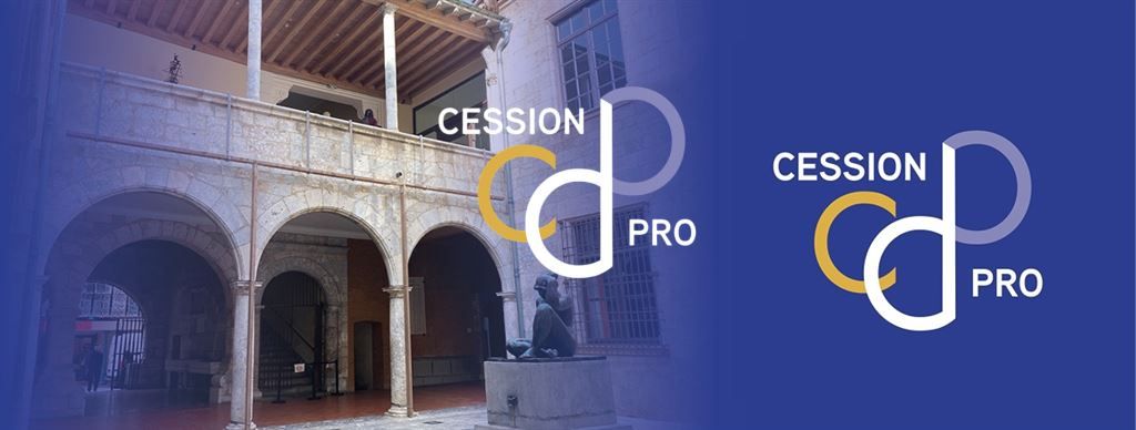 Location Commerce Perpignan 66000 Centre ville piéton
