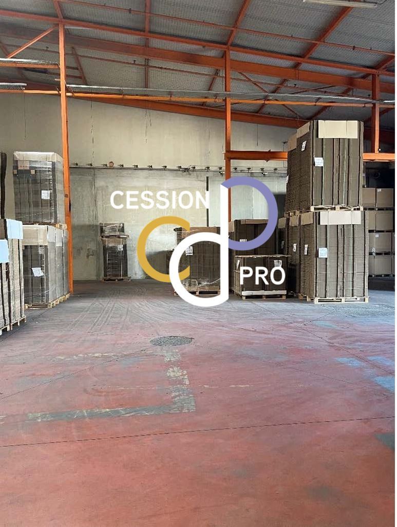 Location Entrepôt Tarascon 13150 ZI Roubian